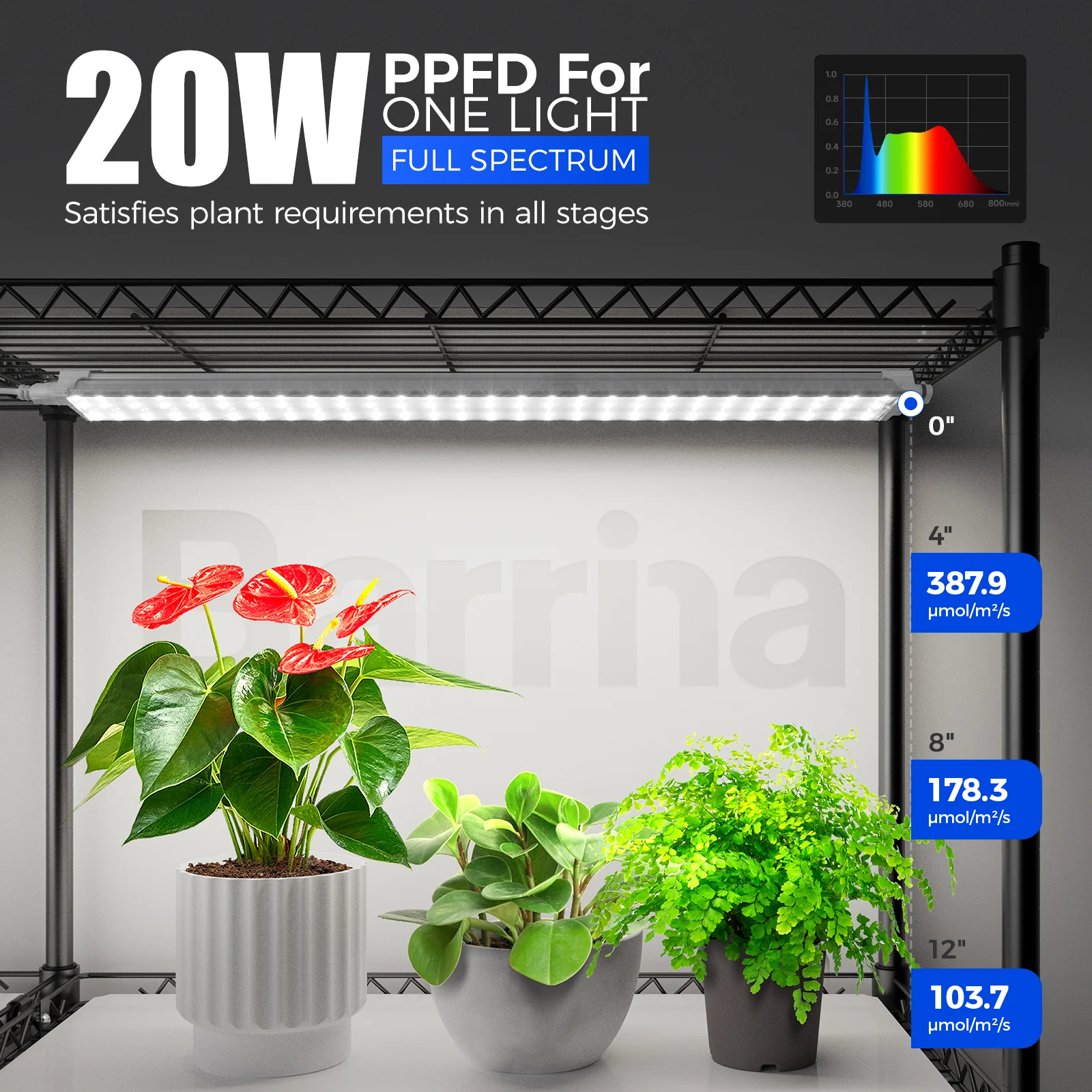 Barrina 5-Tier Plant Stand with 8-Pack T5 20W LED Grow Lights 1.6FT 5000K | Full Spectrum & Timer | WE20 - Image 5