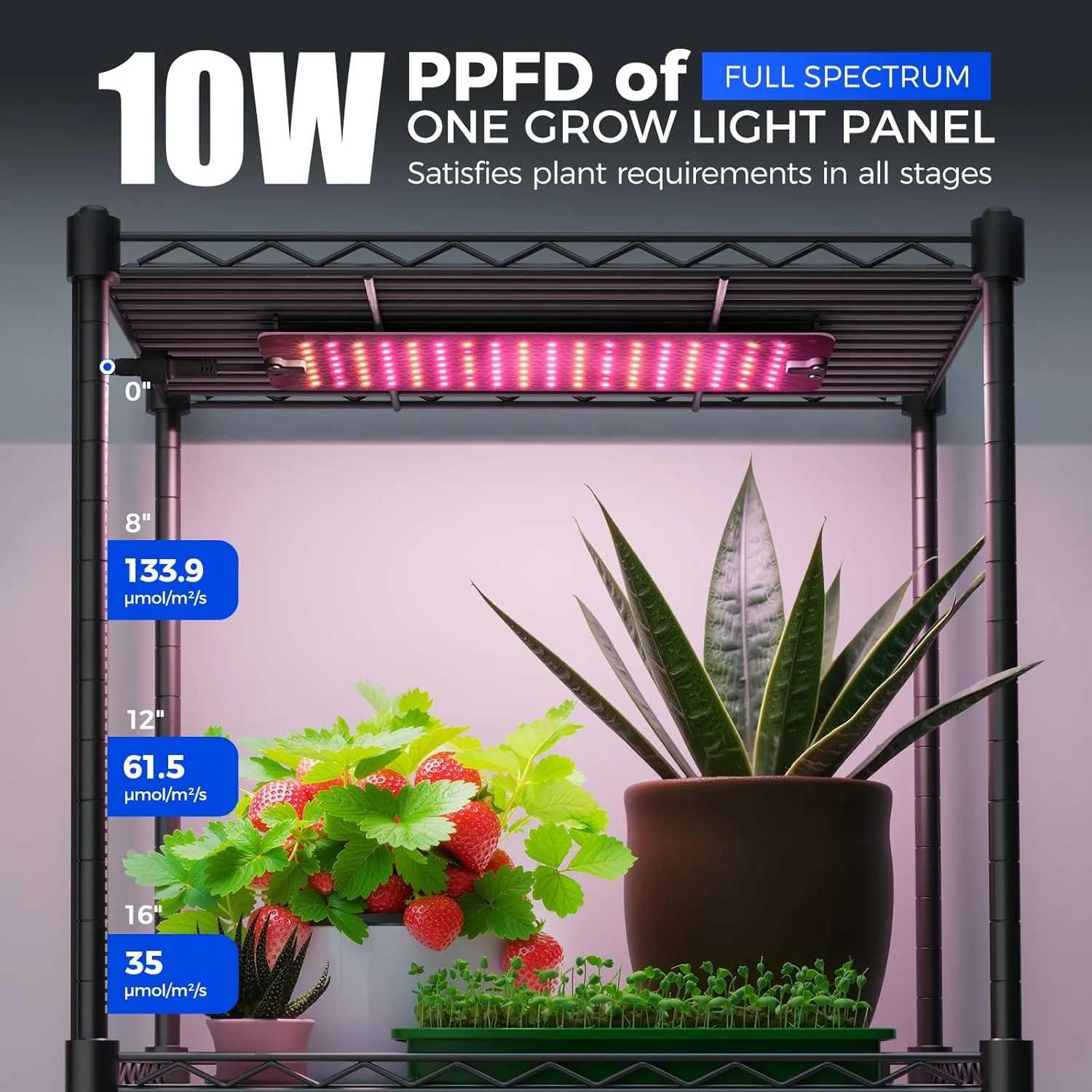 Barrina 6-Tier Plant Stand with 5-Pack 10W Grow Light Panels 3 Spectrums | Full Spectrum & Timer | DC10 - Image 3
