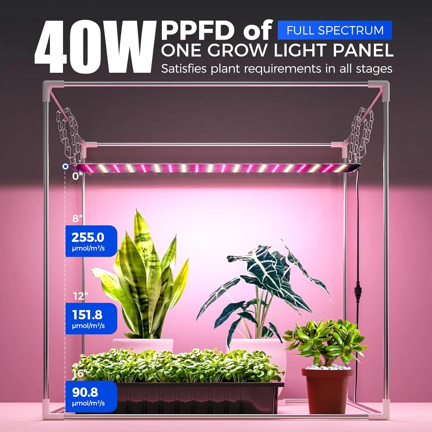 Barrina Indoor Greenhouse with 1-Pack 40W LED Grow Light Panel 3-Spectrum | Full Spectrum, Tent & Timer | DF40 - Image 8