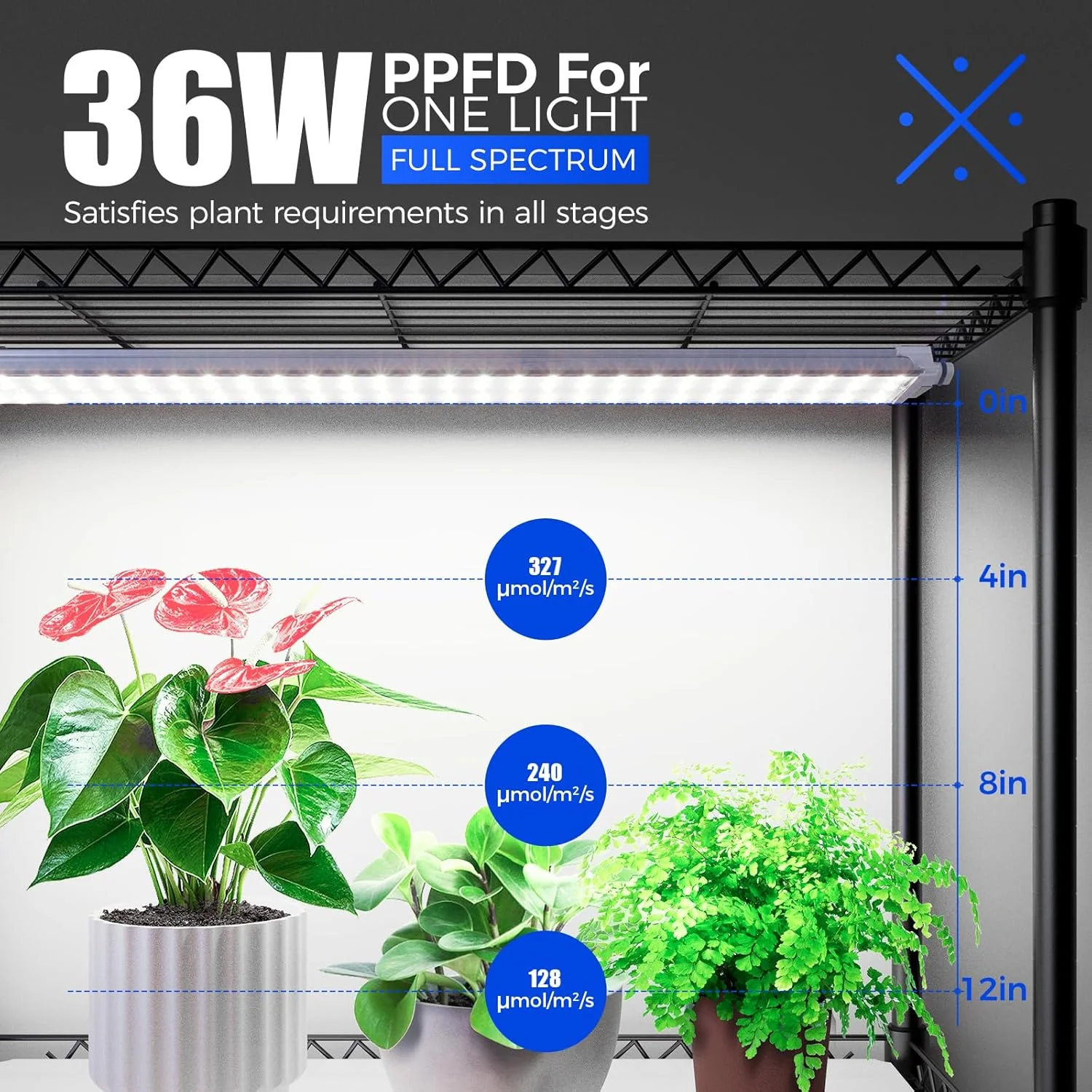 Barrina 4-Tier Plant Stand with 3-Pack T5 36W LED Grow Lights 3FT 5000K | Full Spectrum, Tent & Timer | WI36 - Image 4