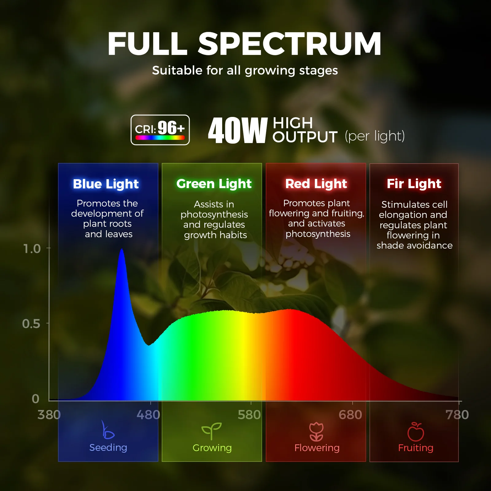 Barrina TR40a 40W LED Grow Lights 5000K | Full Spectrum, Mounted & Timer | TR40a (Black) - Image 4